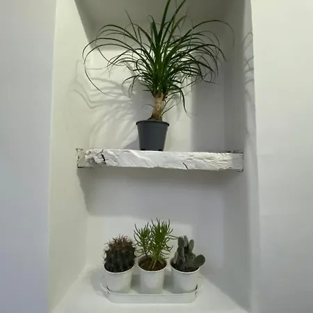 Apartment Domus Isidis